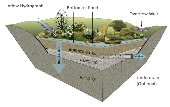 Bioretention pond design